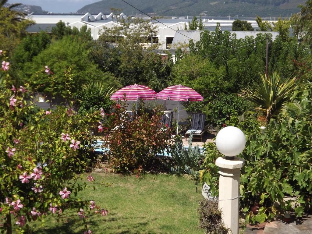 Aestas Bed & Breakfast Knysna Rum bild